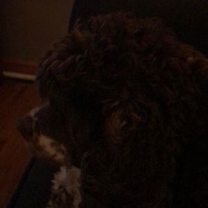 Meet your Posher, Joanne